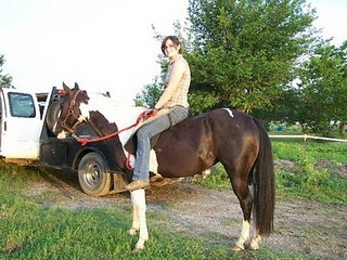 Sissy - deaf horse's sister