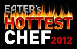 2012_1_hotlogo